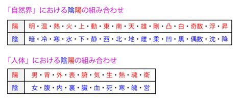 陰陽 分類|陰陽